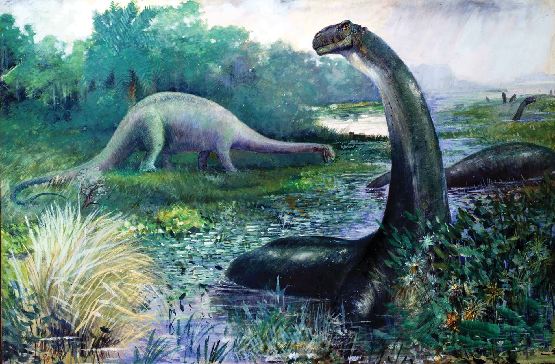 A painting of two dinosaurs in the water
