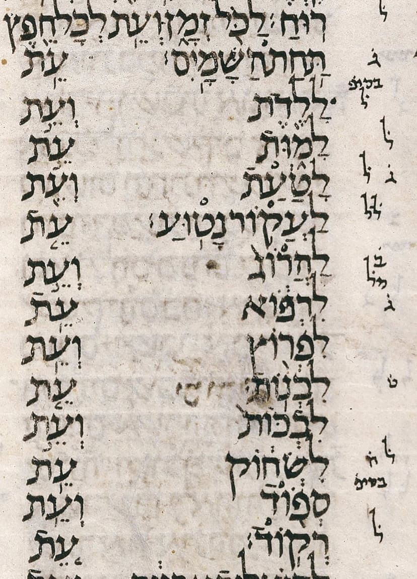 A page from a book with writing on it